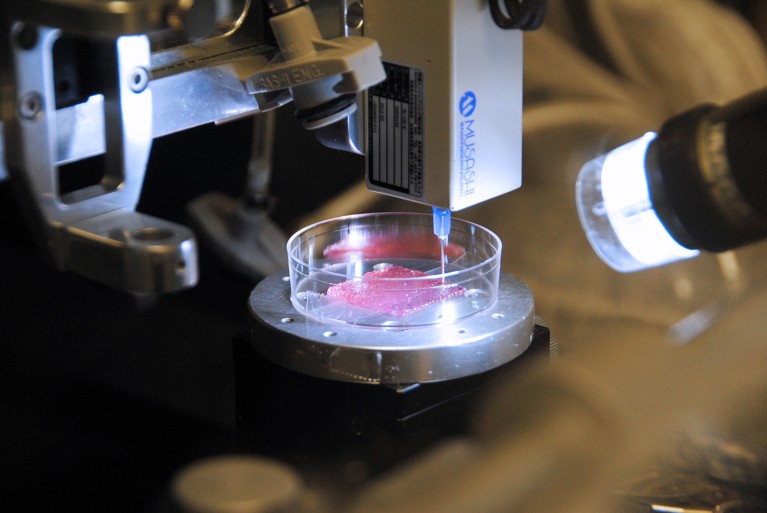 Will the latest skin substitutes revolutionize the treatment of burns and other wounds?