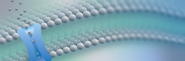 Rapid cell-free synthesis of challenging membrane proteins