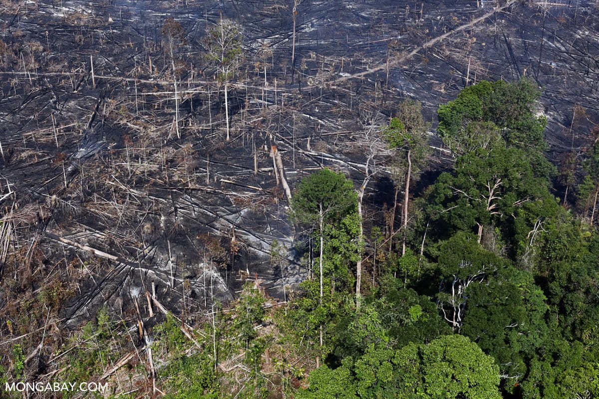 Indonesia’s idle land problem