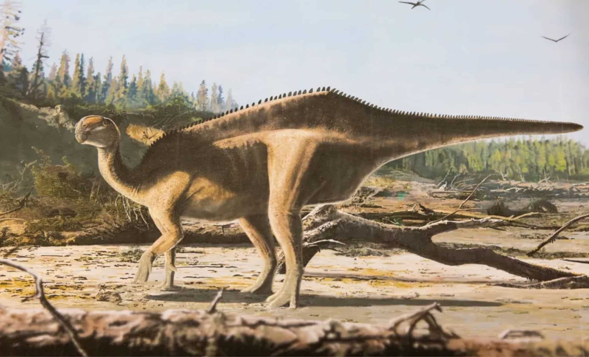Discovery of New Dinosaur Species with Sail-Like Structure Stuns Scientists