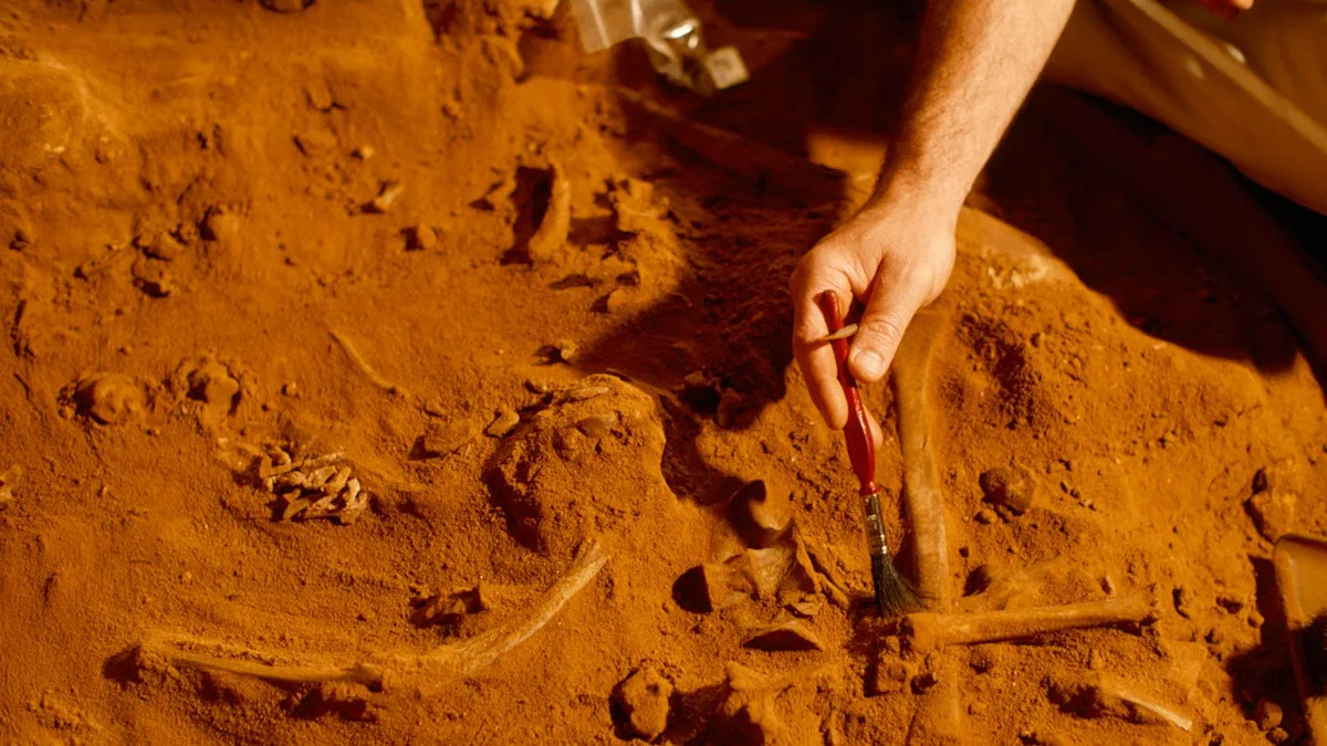 a Fossil With Brains and Guts Intact