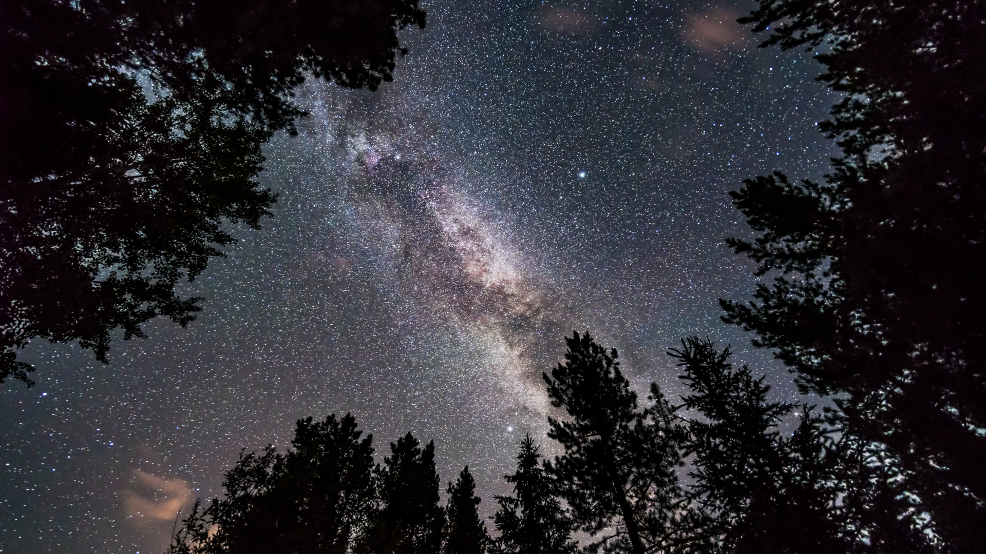 Don’t miss the stars of the ‘Summer Triangle’ twinkle with the Milky Way after sunset