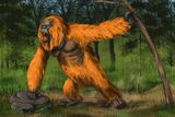 Gigantopithecus Was the Largest Ape to Exist — Why Did it Disappear?