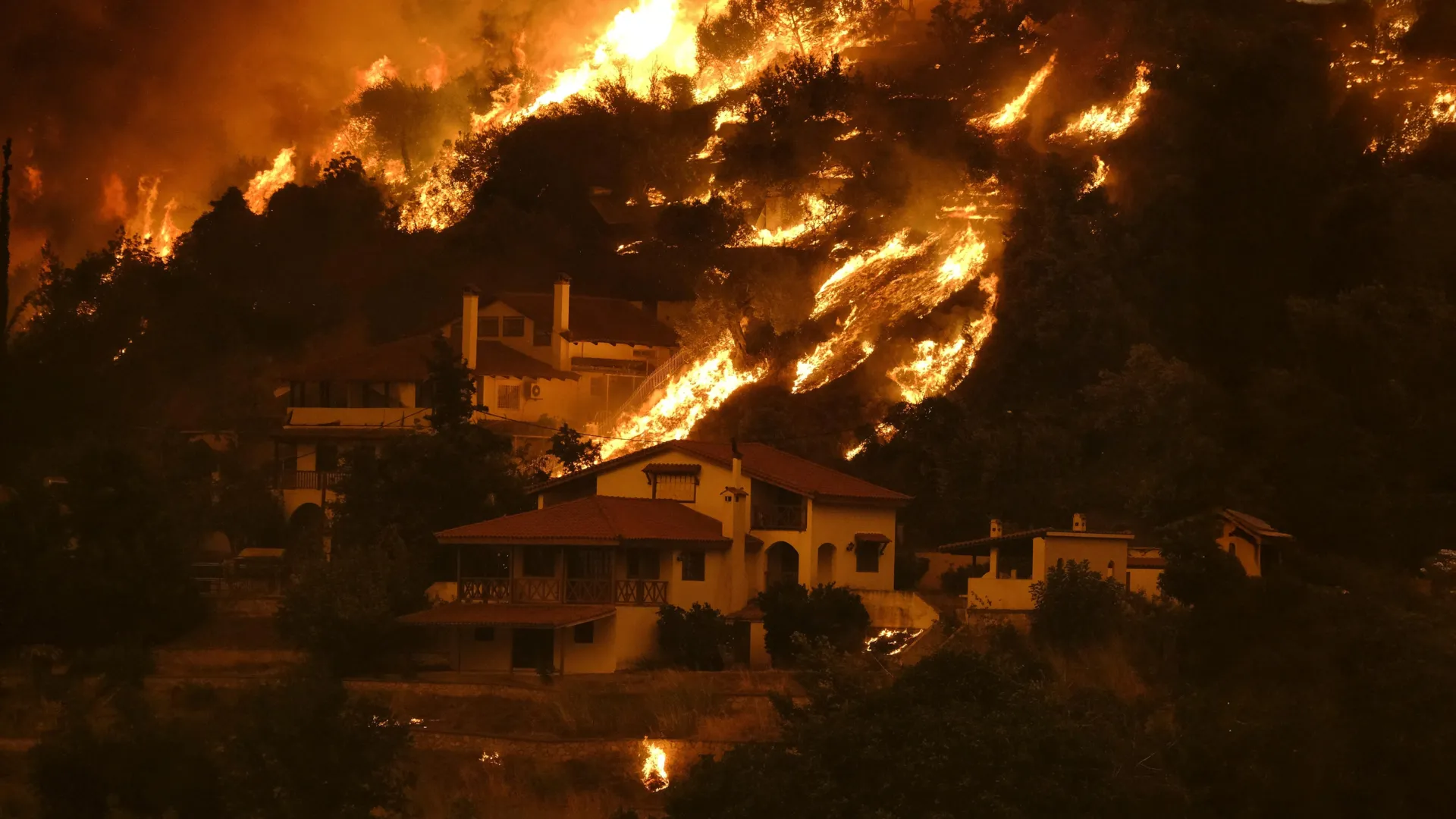 Scientists uncover wildfire paradox that’s putting 440 million people in danger