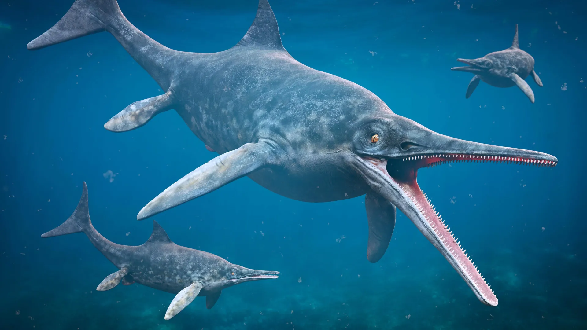 Forgotten rock in Japan reveals 220-million-year-old ichthyosaur fossil