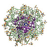 Chiralization of metal-containing dyes upon mere encapsulation