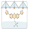 Self assembling monolayer can improve lead-free perovskite solar cells too