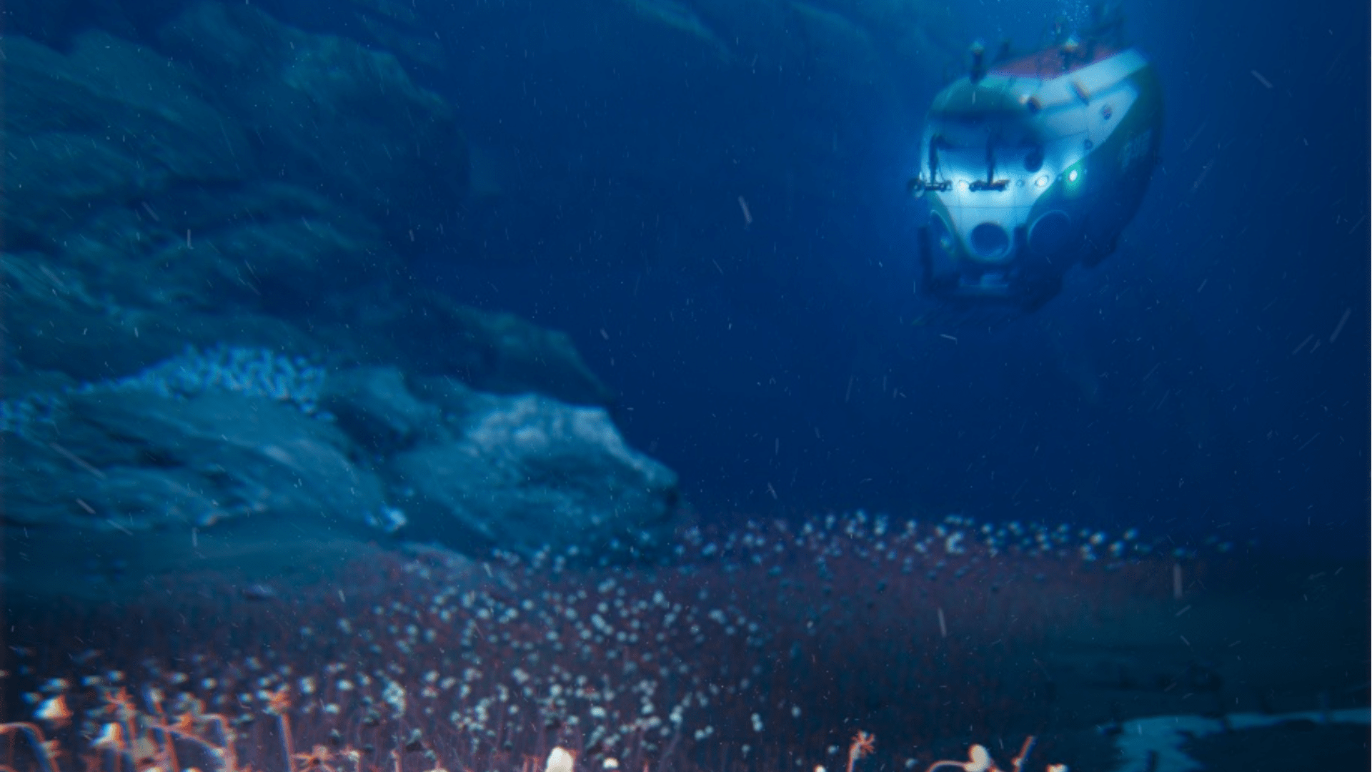 Scientists uncover life forms at 31,000 feet below the Pacific Ocean