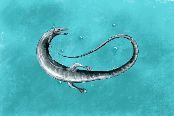 Unique Fossil of Juvenile Pleurosaurus Unearthed in Germany