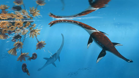 Paleontologists Unveil New Species of Plesiosaur