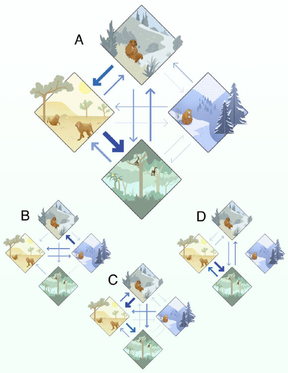 Early Primates Primarily Inhabited Cold and Temperate Climates, New Study Suggests