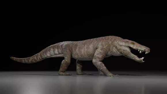 70-Million-Year-Old Fossils of Crocodile-Like Apex Predator Unearthed in Argentina