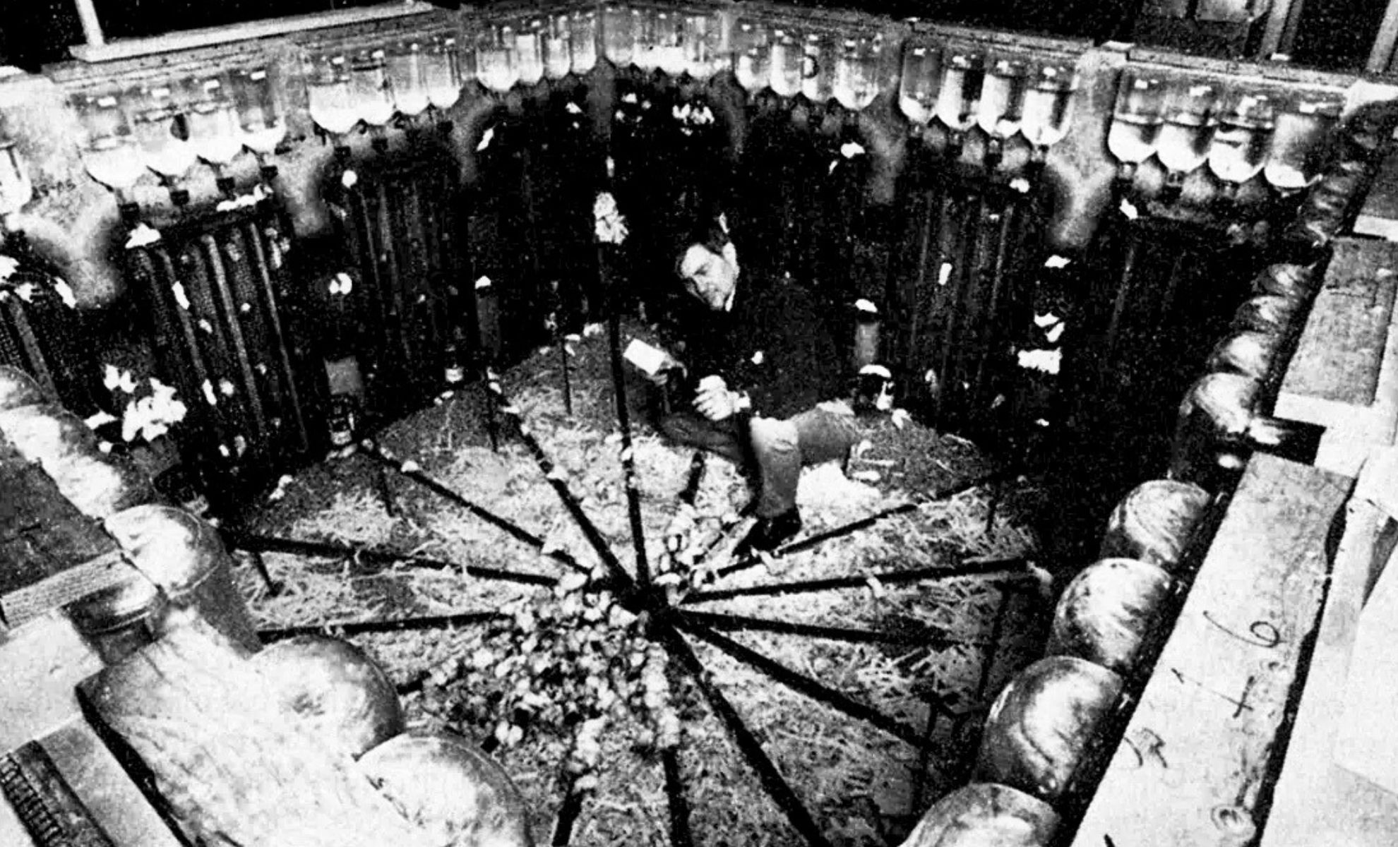 This Terrifying Experiment From the 1970s Predicts the End of Humanity—And It Hits Uncomfortably Close