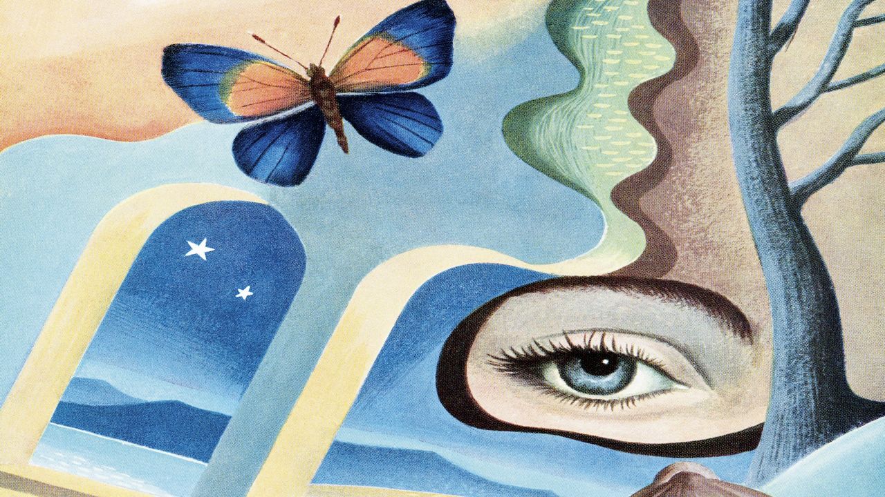 Can you dream during non-REM sleep?