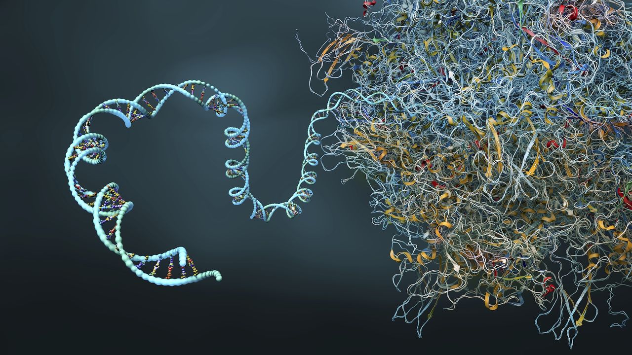 IBM and Moderna have simulated the longest mRNA pattern without AI — they used a quantum computer instead