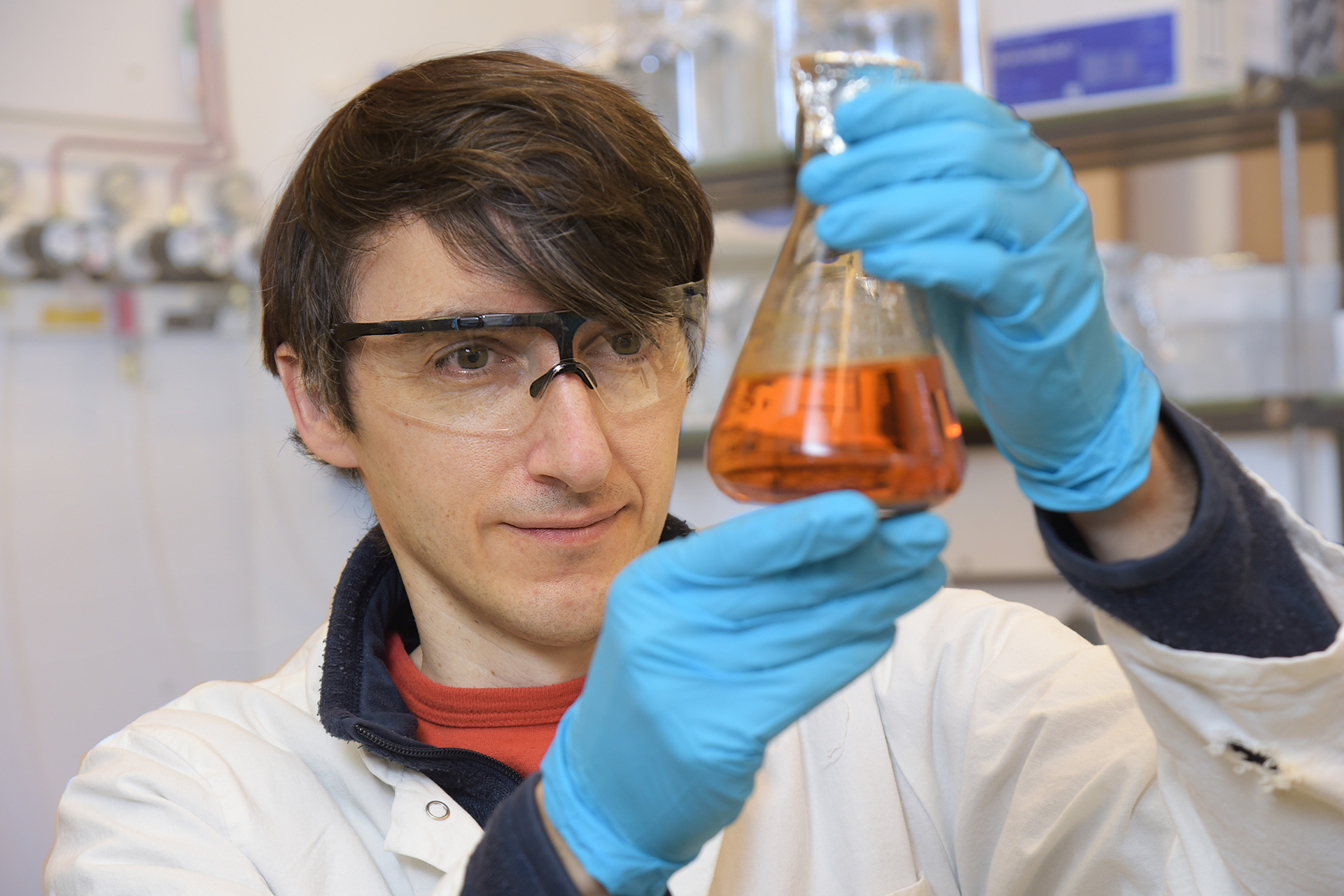 Hinting at answer to a chicken-or-egg question on evolution — Harvard Gazette