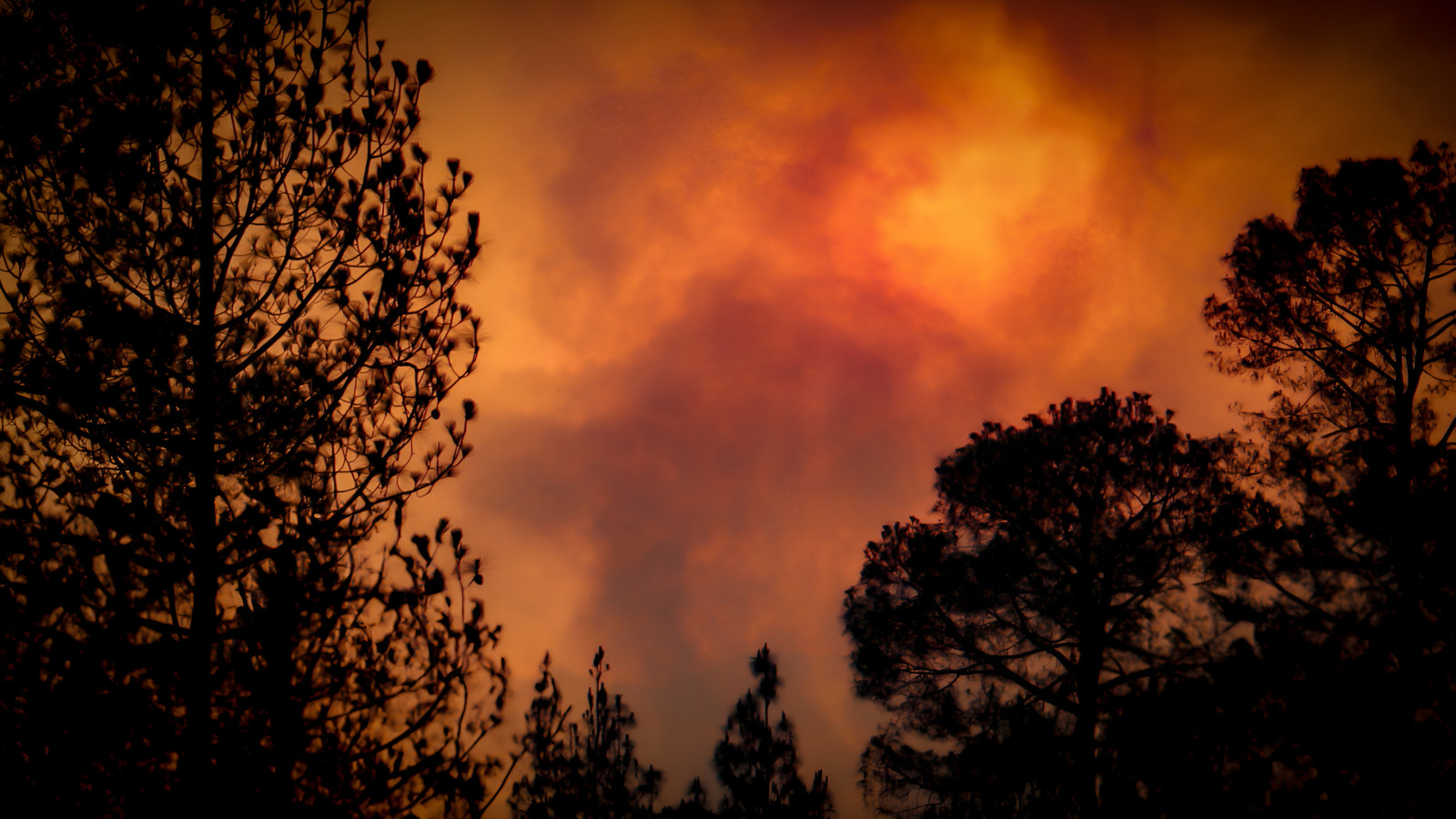 Scientists Say Catastrophic Wildfires Are The New Norm For Canada. Here’s Why