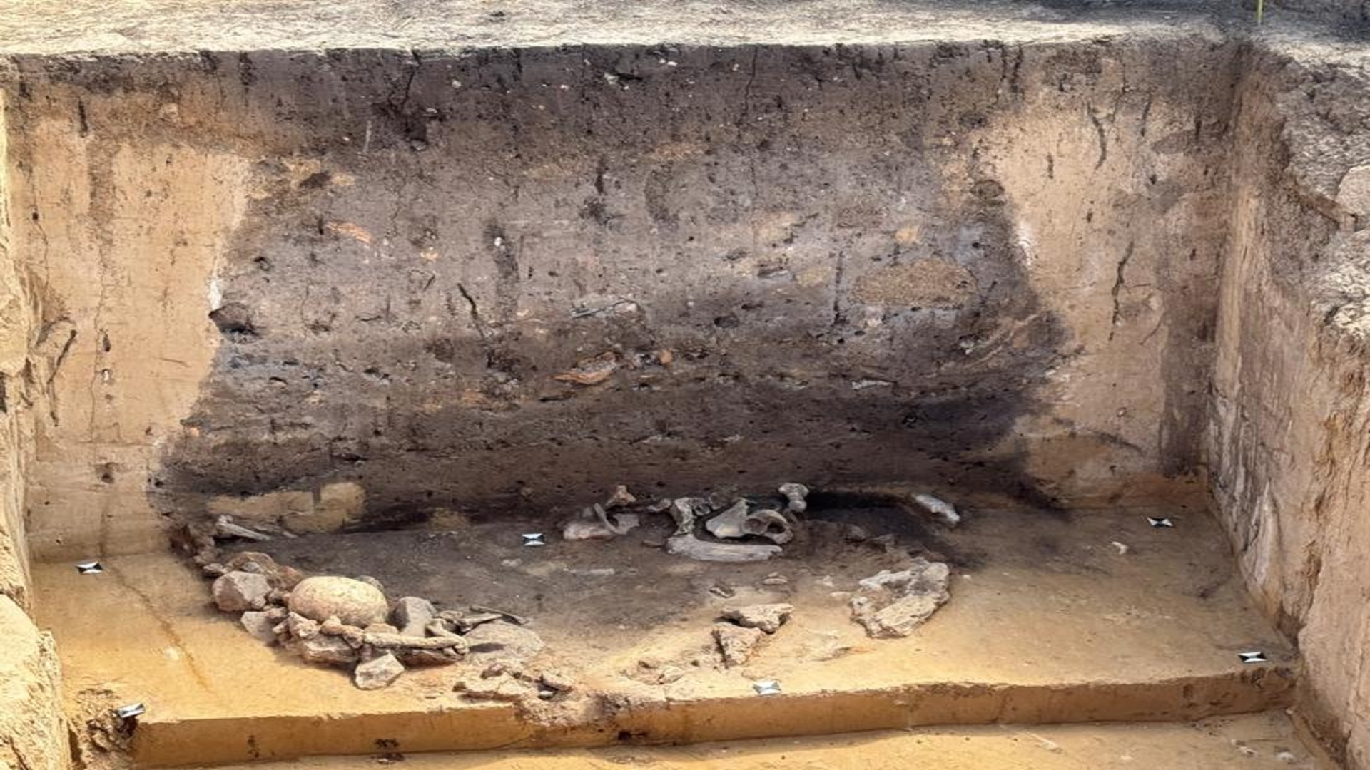 5,000-year-old pits found in Germany reveals haunting Neolithic secrets