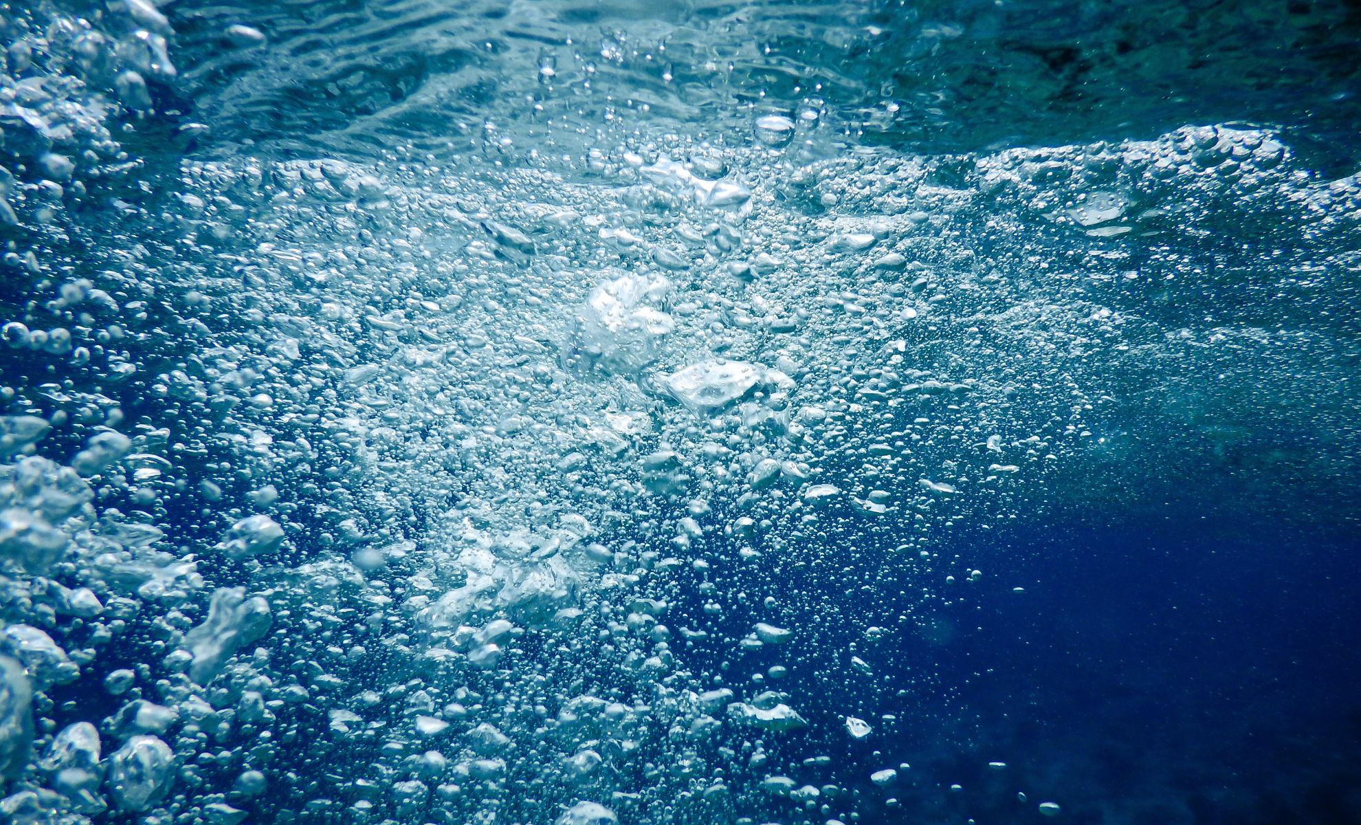 Lanternfish Extinction Could Set Off Global Marine Collapse