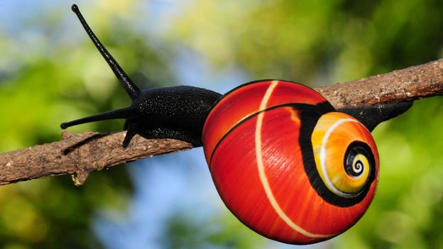 Ten of the best science pictures of the week