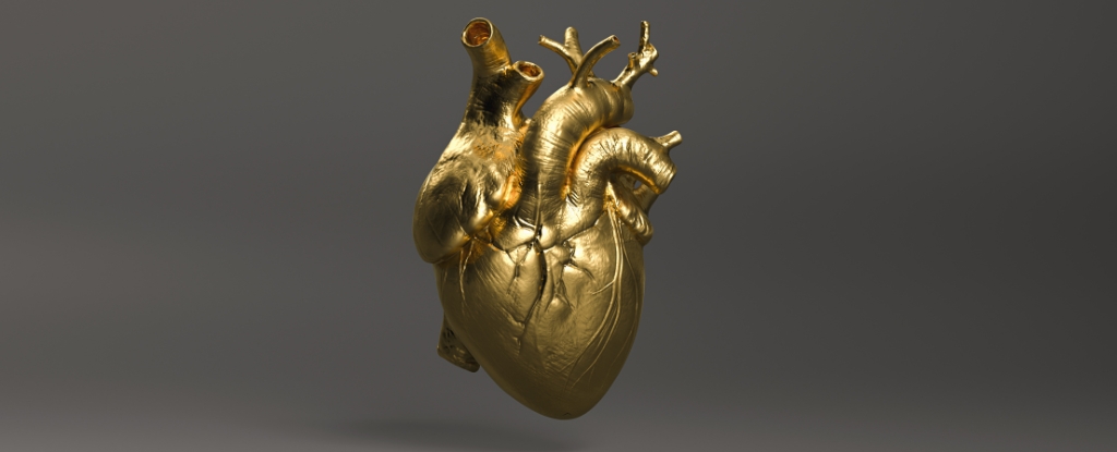 Your Heart Is Vulnerable. These 4 Things Will Help You Protect It. : ScienceAlert