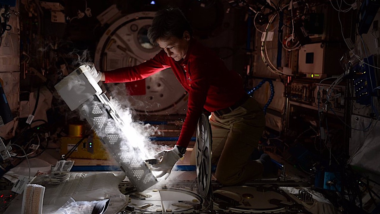 NASA Spaceline Current Awareness List #1,160 1 August 2025 (Space Life Science Research Results)