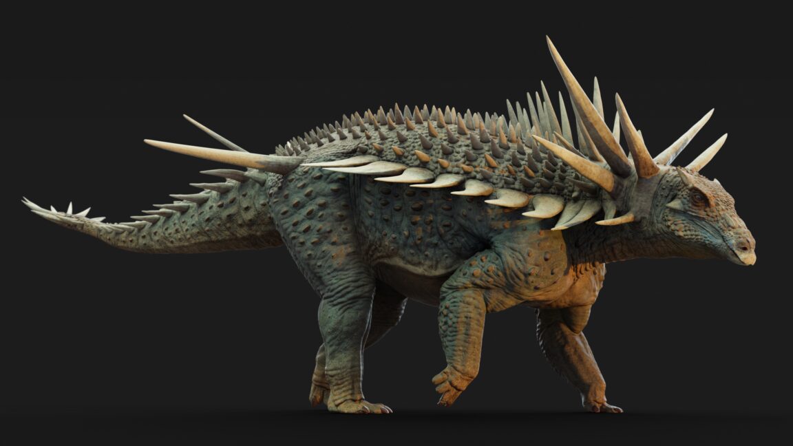 New dinosaur species is the punk rock version of an ankylosaur