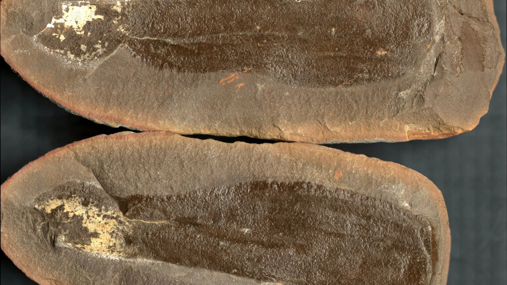 Scientists just uncovered three ancient worlds frozen beneath Illinois for 300 million years