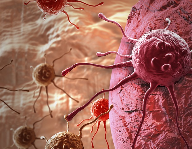 Patient-derived organoids advance cancer therapy and vaccines