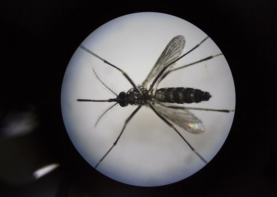 How Are Health Data Priced? Why Health Data Are Like Zika Prevention Programs