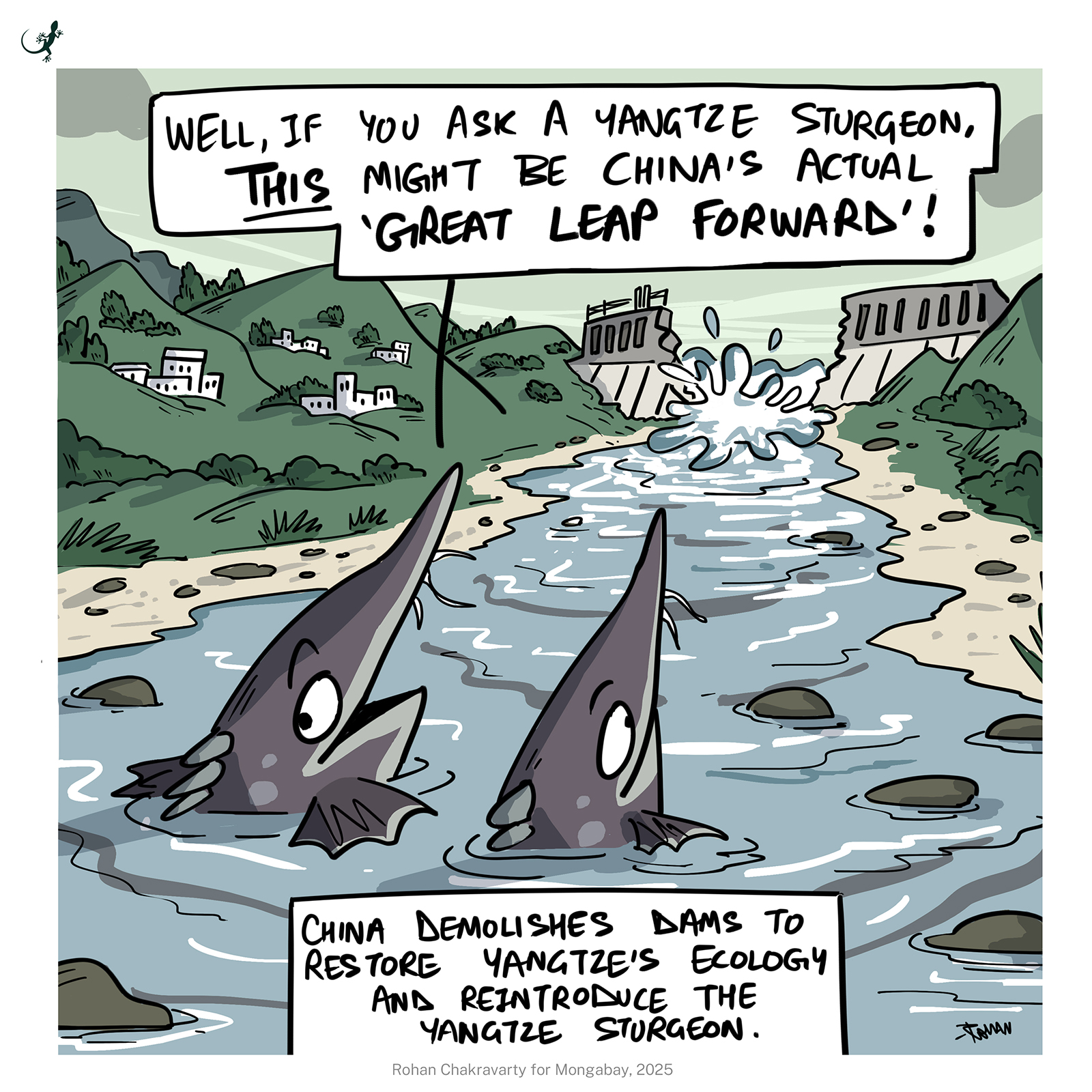Hope for the iconic Yangtze sturgeon (cartoon)