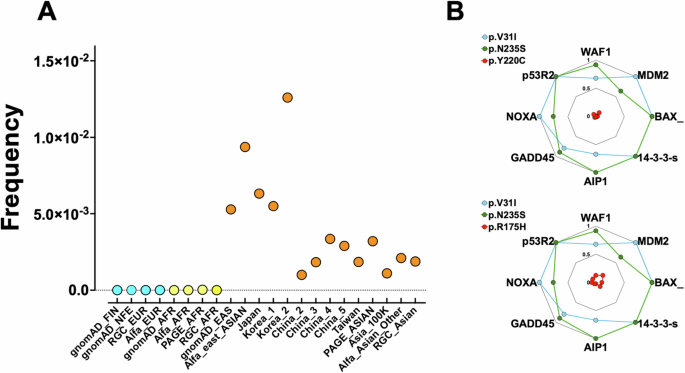Misclassification of TP53 germline variants: implications for survival analysis in AML transplant studies