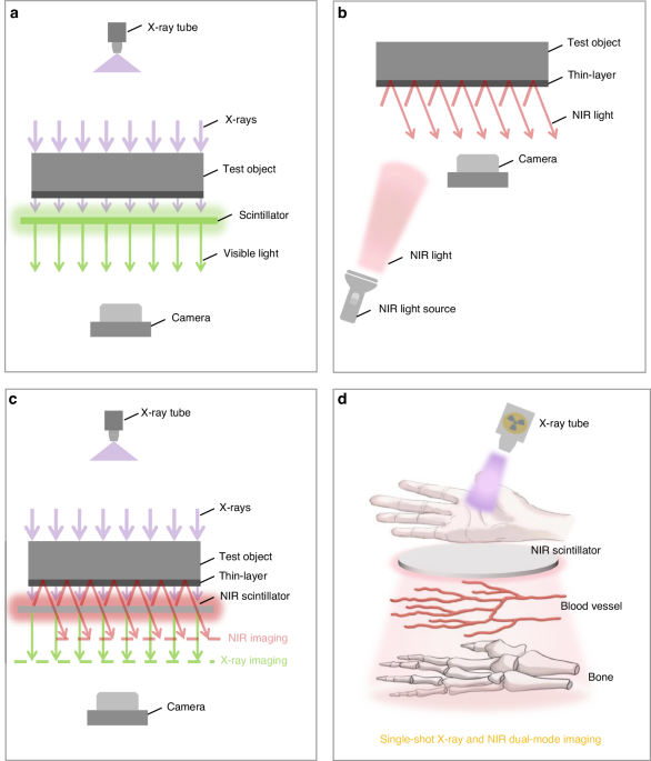 Single-shot X-ray and near-infrared (NIR) dual-mode fusion imaging based on bifunctional NIR scintillators
