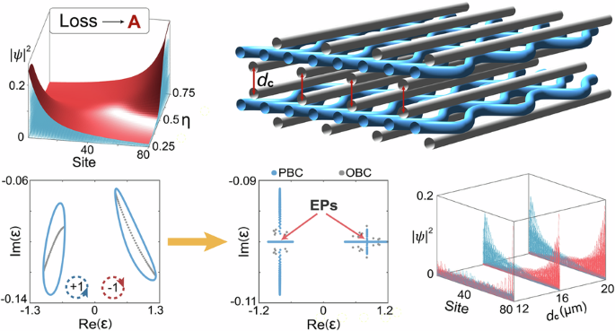 Coupled non-Hermitian skin effect with exceptional points