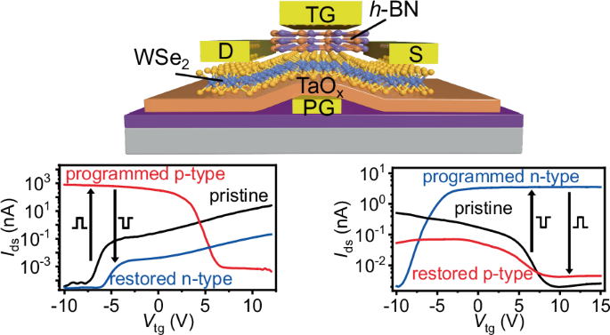 Polarity control of 2D semiconductor for reconfigurable electronics