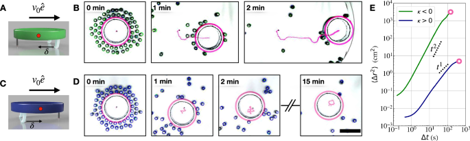 A mechanical route for cooperative transport in autonomous robotic swarms