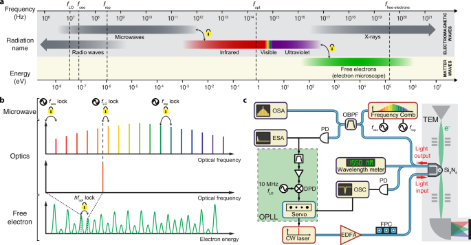 Unifying frequency metrology across microwave, optical, and free-electron domains