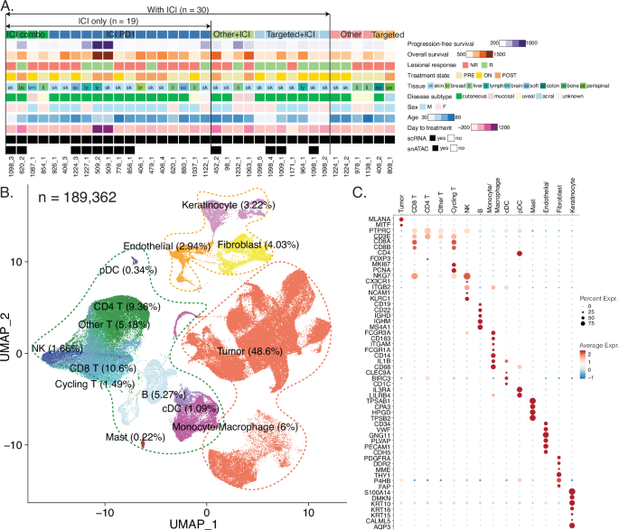 Mature and migratory dendritic cells promote immune infiltration and response to anti-PD-1 checkpoint blockade in metastatic melanoma