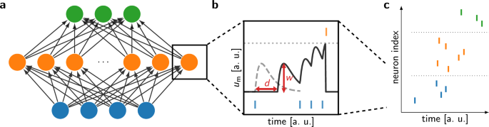 DelGrad: exact event-based gradients for training delays and weights on spiking neuromorphic hardware