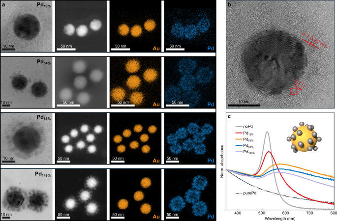 Inverted temperature gradients in gold–palladium antenna-reactor nanoparticles