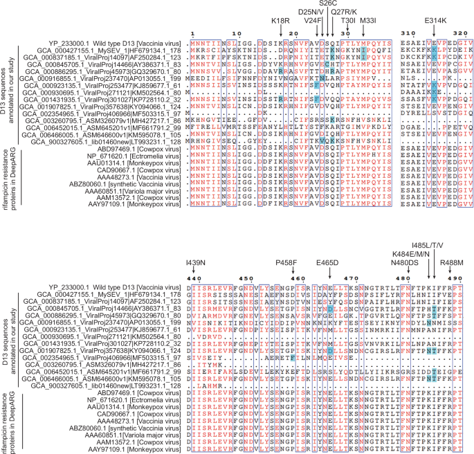 Reply to: Giant virus genomes are unlikely to be reservoirs of antibiotic resistance genes