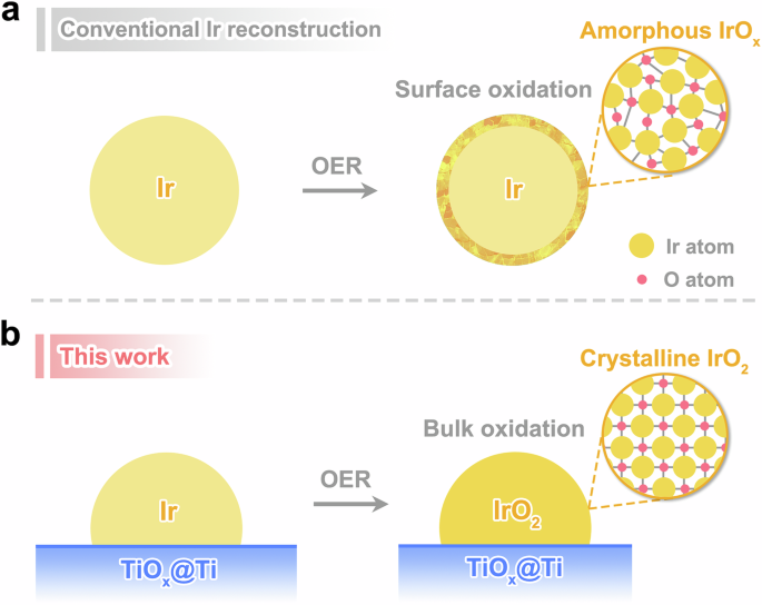 Support-tuned iridium reconstruction with crystalline phase dominating acidic oxygen evolution