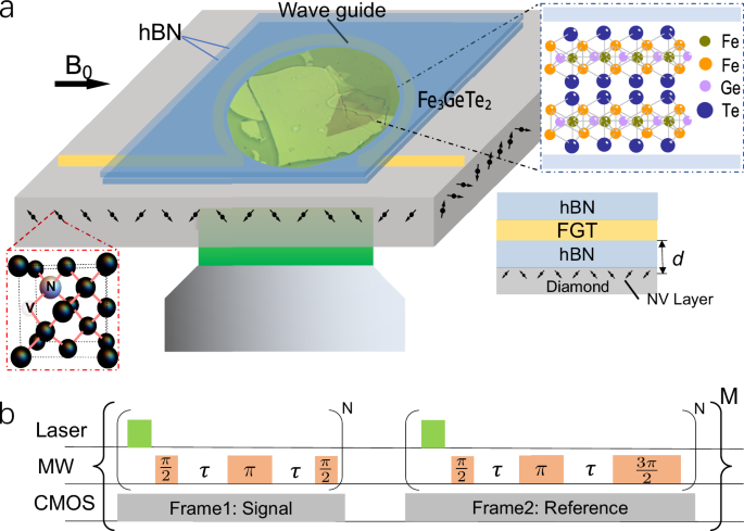 Critical fluctuations and noise spectra in two-dimensional Fe3GeTe2 magnets