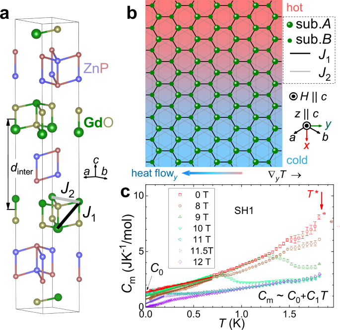 Itinerant and topological excitations in a honeycomb spiral spin liquid candidate