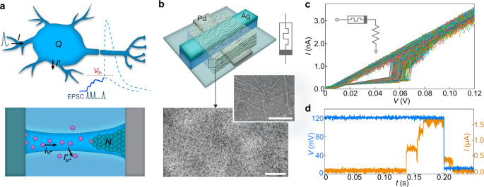 Constructing artificial neurons with functional parameters comprehensively matching biological values
