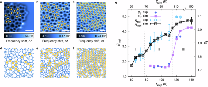 Atomic-resolution imaging reveals nucleus-free crystallization in two-dimensional amorphous ice on graphite