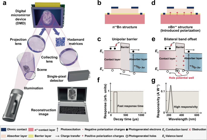 High-sensitivity and fast-response solar-blind photodetectors via band offset engineering for motion tracking
