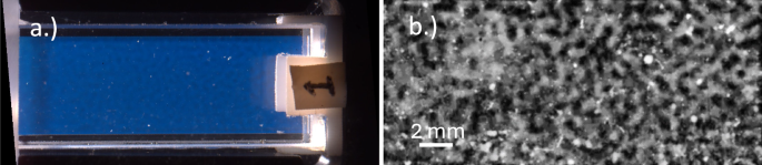 Phase-field modeling of colloid-polymer mixtures in microgravity