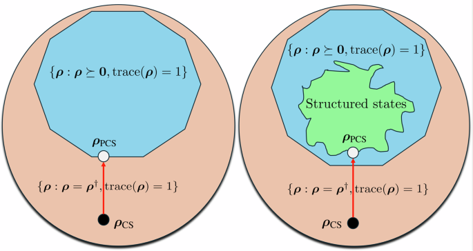 Enhancing quantum state reconstruction with structured classical shadows