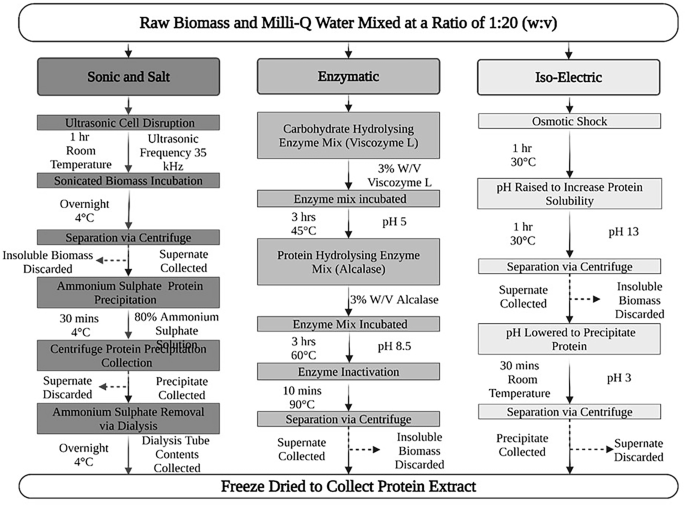 Protein extraction from Buckwheat, Chondrus crispus, and Spelt and assessment of nutritional benefits and limitations in vitro